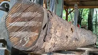 The extraordinary process of sawing the most expensive teak wood to make block materials