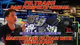 ARWANA GA BUTUH FILTRASI PREMIUM?! KELAS FILTRASI BERSAMA RONALD RDC AROWANA!