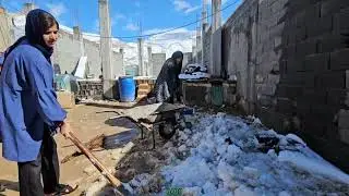 :** Cherished Winter Moments: Ali, Cheraghli, and Family's Joyful Snow Play