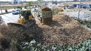 First Nicely Landfill Start Task! Skill KOMATSU Bulldozer D51PX With Dump Trucks Process