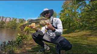 Georgia Giants: Spring Swimbait Bass Fishing *NEW PB*