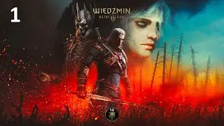 Wiedźmin 3: Dziki Gon #1 - No witam