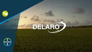 Fungicides: Nothing Protects Your Pulses Like Delaro&reg;