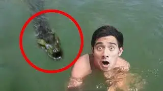 Top New Zach King Funny Magic Vines #3 - Best Magic Tricks Ever 2022