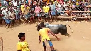 BABU  G KMP