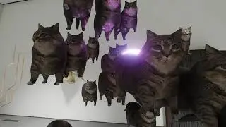 Twisted Gallery - Oiiai Oiiiai Cat [Easter Egg]