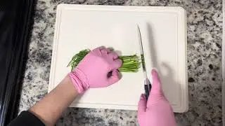Chives Multimedia Reflection