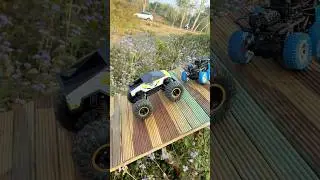 Mini Vs Small Vs Big RC Car: Power Hill Climb Test/ 😱