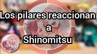 los pilares reaccionan a shinomitsu (pedido de sub)