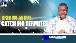 Dreams About Catching Termites II Biblical and Spiritual Meaning