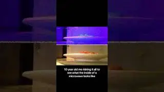 This Is What Happens When You Put A Phone In A MICROWAVE