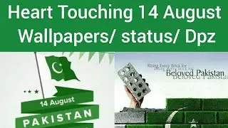 Heart Touching Wallpapers, dpz ,status for 14 August|| Beautiful Independence day Dpz and Wallpapers