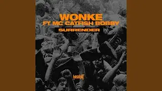 Surrender (feat. MC Catfish Bobby)