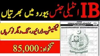 Latest Jobs in Pakistan 2025 | IB Jobs 2024 Online Apply | IB Jobs 2024 | ISI Jobs 2024 Online Apply
