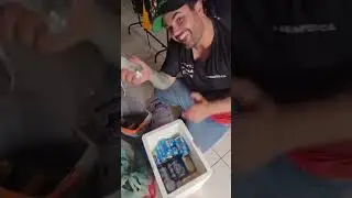 trolando a cerveja do amigo kkkkkkkkk