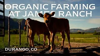 James Ranch, 3 Decades of Generational Farming along the Million Dollar Highway