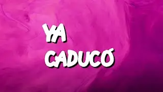 LAYSECA - Ya caduc&oacute; [Lyric Video]