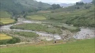 Trek to Giang Ta Chai and Taxi to Sapa, Vietnam