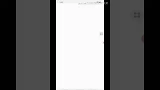 How to on&off Developer mode & Demo Mode