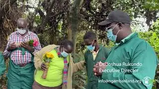 Chimpanzee Trust and Ngamba Island Chimpanzee Sanctuary sadly commemorate the passing of Ikuru. 