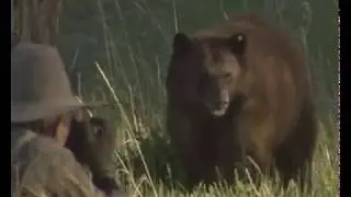 Good Bear Spray Works