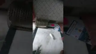mouse sniffing the shoes 🐁 👟