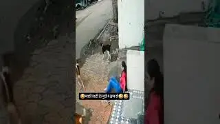 kmaal karti 💯😉 #subscribe #viral #funny #dog #girl #share #punjabisong #love