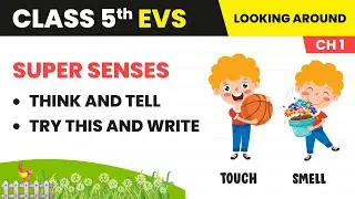 Think and Tell, Try This and Write - Super Senses | Class 5 Environmental Studies Ch 1 | CBSE 2024