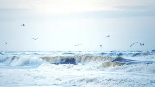 Scaling up marine nature conservation and climate solutions