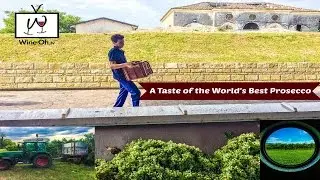 Taste The World's Best Prosecco With Masottina Winery | Conegliano Veneto | Wine Oh TV