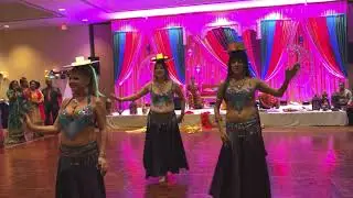 Harem Jewels: Dallas Fort Worth Texas' Premier Belly Dancers