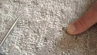 Carpet Tuft repair with Mikey P. brand new wool:1