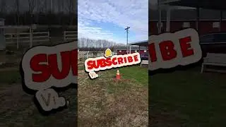 Ремонт скотоотводных ворот на опушке леса.