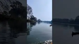 Kapila River #beautyofnature #nanjangudu #mysoretourism #youtubeshorts #river #naturevideo #shorts