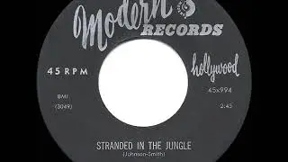 1956 HITS ARCHIVE: Stranded In The Jungle - Cadets