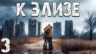 STALKER: К Элизе #3. Пропавшие в Забытом Лесу