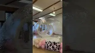 Bubble House ASMR #partyrentals #events #bubblehouse #softplayrental #businessideas