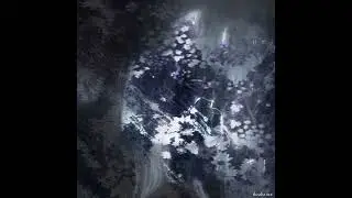 deafvoice - everything you were