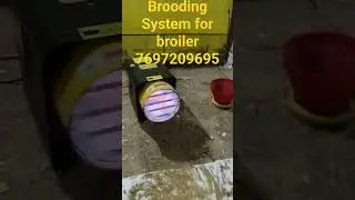Gas brooder for broiler #poultrybusiness #poultry #animalhusbandry #automobile #poultryfarming