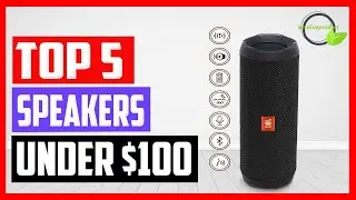 Best Bluetooth Speakers Under $100 in 2021 [Top 5 Picks]
