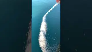 海に砂糖を流したら大変なことに