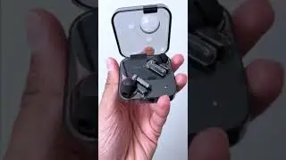 Black or White? 🤔 nothing (ear) 1