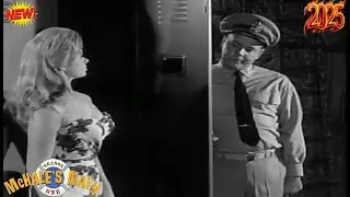 [NEW] McHale's Navy 1962 Full Episodes 💖Comrades of PT 73,  Comedy  War.