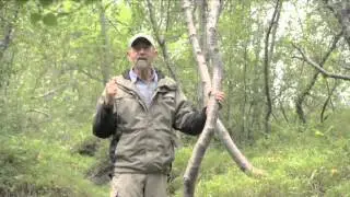 Live the Journey in Iceland - Groen Reis Episode 6
