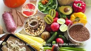 Discussion Text ( Genetically Modified Organisms (GMO) in Plants ) group 4