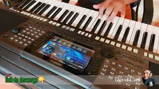 6 Samples para teclados YAMAHA PSR-S Formatos PPF y Sf2