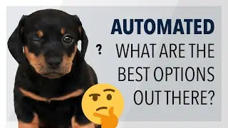 Best Online Platform for People Who Want Automated Options