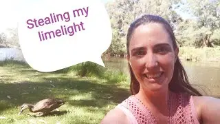 The River Torrens - Adelaide