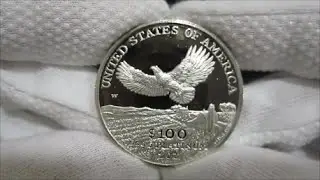 2000 American Eagle Platinum Proof Coin 1 Oz
