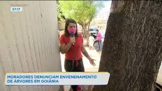 MORADORES DENUNCIAM ENVENENAMENTO DE &Aacute;RVORES EM GOI&Acirc;NIA